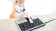 A breakdown of Iowa DOGE's 45 recommendations to Gov. Kim Reynolds