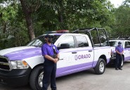 Continúa la violencia intrafamiliar en Cancún; 90% de las víctimas son mujeres