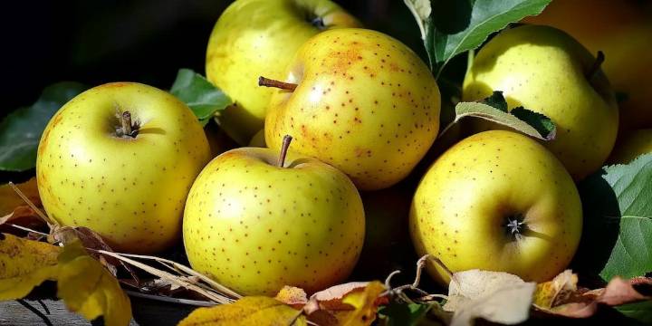 Cómo consumir el tejocote para aprovechar todos sus beneficios