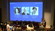 Premio Nobel de Medicina para destacados científicos por hallazgos sobre el sistema inmune
