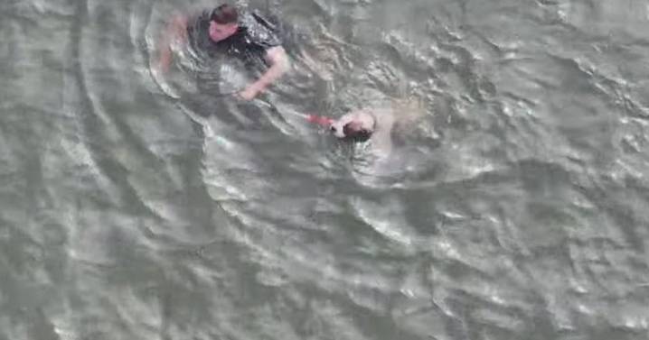 Atlantic City police officer jumps into bay to rescue injured dog
