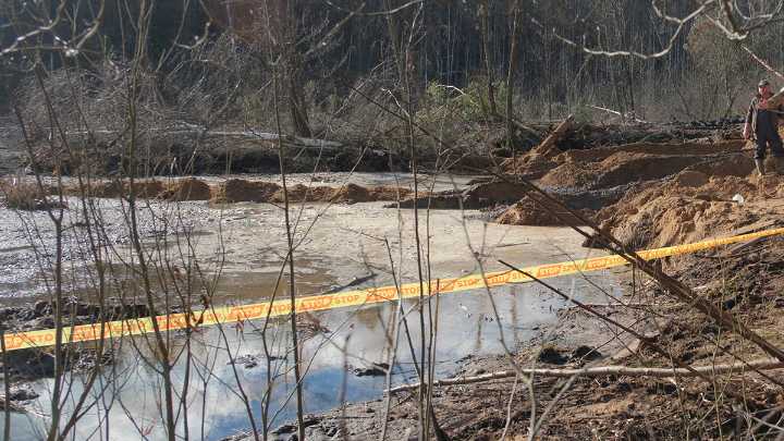 Cifra récord de cadáveres hallados en pantanos de Houston genera alarma entre los habitantes