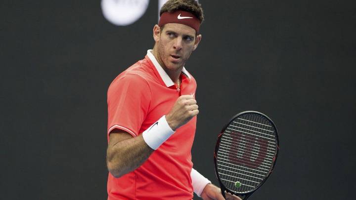 Juan Martín Del Potro fue nominado para entrar al salón de la fama del tenis junto a Roger Federer