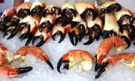 Florida stone crab season 2025-26: How much will claws cost?