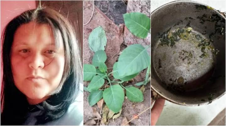 Tragedia en Brasil: una mujer murió y dos hombres están graves tras comer una planta tóxica en una quinta