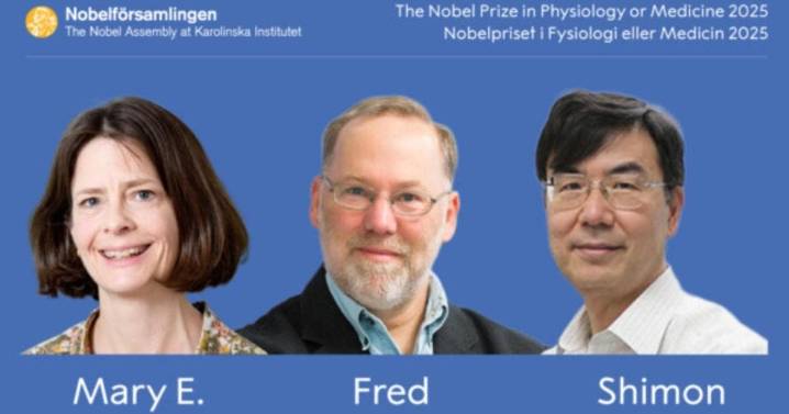 Dan Nobel de Medicina a tres científicos por la tolerancia inmunológica periférica