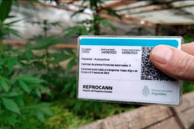 Condenan a Salud de la Nación a pagar más de $3 millones por demorar trámite del Reprocann