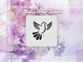 OBITUARY: Shirley Ann Seibert