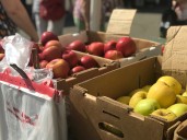 New sustainable farm vendor coming to Staten Island Mall Greenmarket