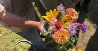 Documentary screening at UMaine explores prison food reform and renewal