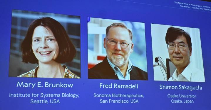 Nobel Prize in medicine goes to 3 scientists for peripheral immune tolerance work