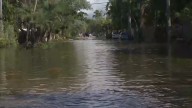 King tides floods South Florida roadways