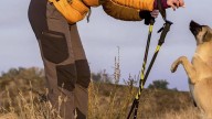 Best hiking pants