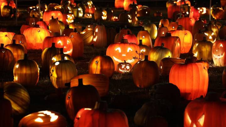 How to score Halloween 2025’s best food deals and freebies