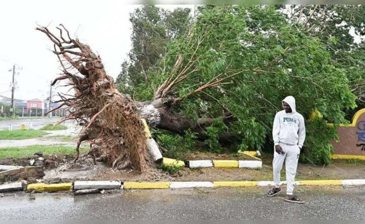 Huracán Melissa deja varados a 14 peruanos en Jamaica: cancillería brinda asistencia tras cierre de aeropuerto