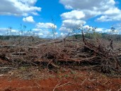 YUCATÁN | Comunidades mayas exigen al gobernador declarar emergencia socioambiental