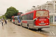 ANTES DEL AUMENTO! Se supo cuántos colectivos tiene el transporte público en Corrientes