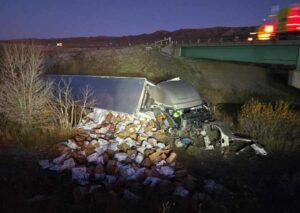 Semi driver hauling spuds charged with DUI; passenger hospitalized; cat uninjured