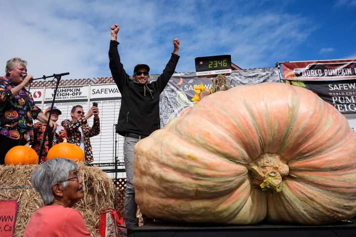 California engineer wins pumpkin contest with 2,346