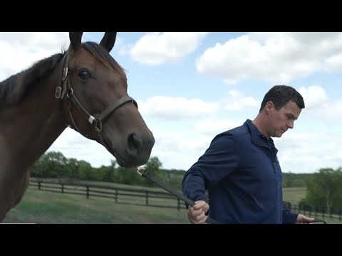 Thoroughbred horses give people in recovery a second chance at life