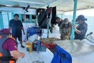 Aseguran más de un kilo de caracol rosado, producto en veda, en el Arrecife Alacranes