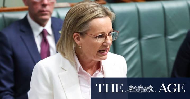 Anthony Albanese Joy Division shirt: Coalition MPs distance themselves from Sussan Ley’s attack on PM