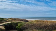 Ni Villa Gesell ni Cariló: el bosque con playa que todos buscan en Buenos Aires