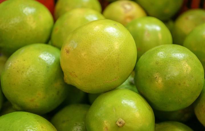 Formalizarán la cadena productiva de lima ácida Tahití en el Meta