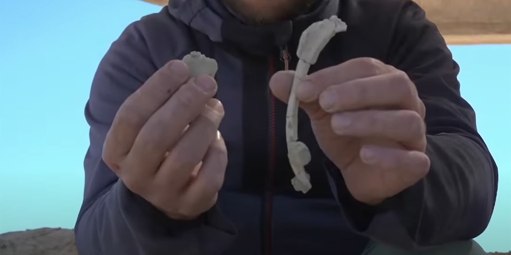 Tras su paso por Mar del Plata, el CONICET transmite en vivo la búsqueda de fósiles de dinosaurios en la Patagonia