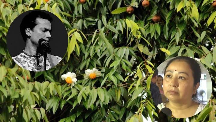 ‘Let a forest of 'Nahor' trees bloom from Sonapur to Jagiroad’: Garima Saikia Garg