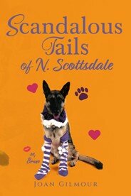 Scottsdale author hosts book launch