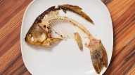 Swallowed a Fish Bone? Here are the Risks, First-aid and When to Seek Emergency Care
