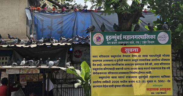 Jain leaders announce new party ahead of BMC polls to ‘protect kabootarkhanas’