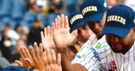 LVBP: resultados de la jornada del sábado 18 de octubre