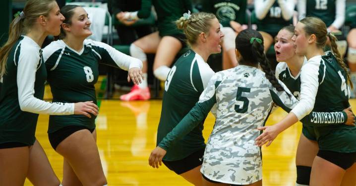Wolverines volleyball hosts Minico