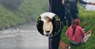 A prisión mujer acusada de lanzarse con su bebé de 10 meses al río Bogotá