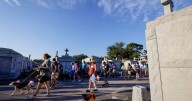 5K run through Metairie Cemetery will raise money for animal rescues. Plus, it's a pawty!