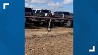 FBI raids Idaho horse track in federal gambling investigation