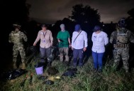 Profepa y Marina deshabilitaron 12 trampas ilegales de tortuga casquito en Vallarta