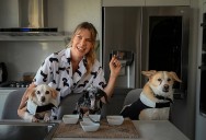 Un juez falla que la lista de Milei en Buenos Aires debe ir encabezada por una exactriz amante de los perros