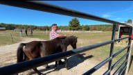 At this Gardner farm, men find recovery from drug and alcohol abuse