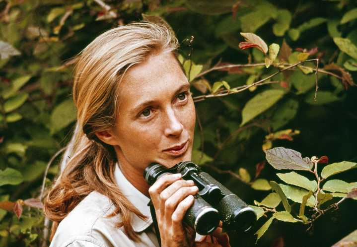 Jane Goodall's Cause of Death Revealed After Conservationist Died at Age 91