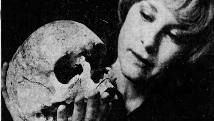 Skull of a Delaware killer was once a Halloween decoration at library