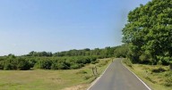New Forest bodies: Two people found dead in camper van after cider festival