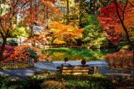 Great News! Spokane's Nishinomiya Garden Extends Fall Season