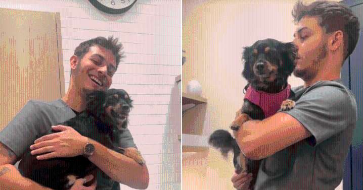 Tiny Dachshund Mix Steals Hearts After Falling for Vet Nurse During First Visit