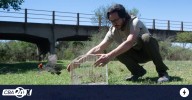 Liberan a 26 aves que estaban alojadas en el Parque de la Biodiversidad