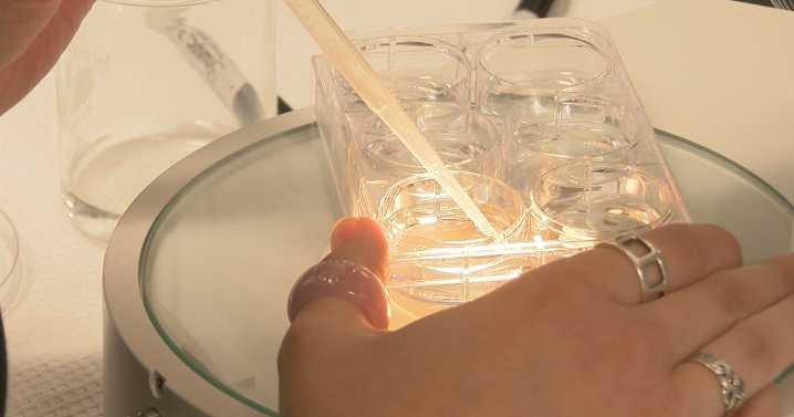 Madison Sewerage District reports low PFAS levels