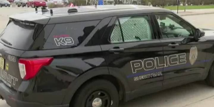Suspect in custody after stabbing in Sheboygan