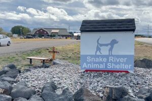 Community invited to local animal shelter’s 10th anniversary celebration